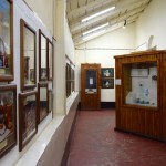 Arusha National History Museum Display