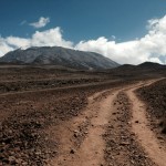 Kilimanjaro Horombo Hut Hike Path