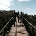 Kilimanjaro Mandara Hut Hike Bridge 2