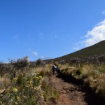 Kilimanjaro Mandara Hut Hike Kili