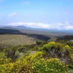 Kilimanjaro Mandara Hut Hike View