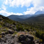 Kilimanjaro Mandara Hut Hike View 2