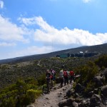 Kilimanjaro Mandara Hut Hike View Path