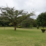 Mount Meru Hotel Garden