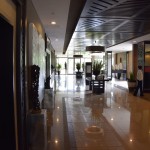 Mount Meru Hotel Lobby