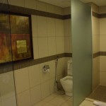 Mount Meru Hotel Room Bathroom Shower