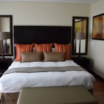 Mount Meru Hotel Room Bedroom