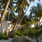 Next Paradise Zanzibar