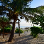 Next Paradise Zanzibar Beach