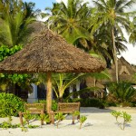 Next Paradise Zanzibar Beach Chair