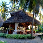 Next Paradise Zanzibar Dining