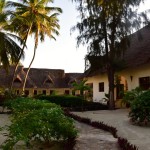 Next Paradise Zanzibar Path