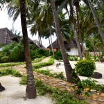 Next Paradise Zanzibar Walkway