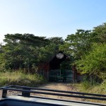 Sarova Mara Game Camp Entrance