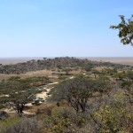 Serengeti Main Office