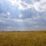 Serengeti Plains and Sky