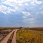 Serengeti Road and Sky
