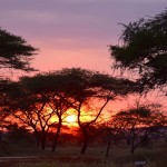 Sunsets over the Serengeti