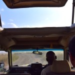 Serengeti Truck View