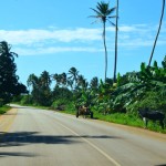 Zanzibar Drive to East Rural Road