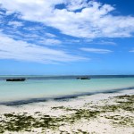 Zanzibar Pwani Mchangani Beach