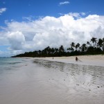 Zanzibar Pwani Mchangani Beach Reflection