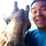 Giraffe selfie!