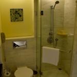 Hyatt Regency Kiev Room Shower