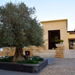 Kempinski Ishtar Dead Sea Resort Entrance Tree