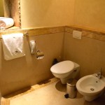 Kempinski Ishtar Dead Sea Room Bathroom