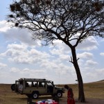 Maasai Mara Bush Picnic Set up