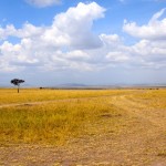 Maasai Mara Plains