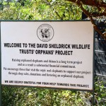 Nairobi The David Sheldrick Wildlife Trust Sign
