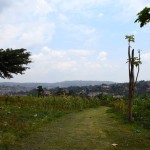 Kampala Mengo Palace Garden