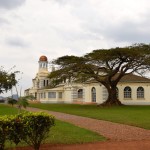Kampala Mengo Palace Tree