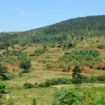 Rwanda Countryside