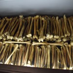 Rwanda Genocide Memorial Museum Bones