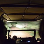 Bush Braai Night Driving
