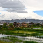 Antananarivo Outskirts Plantation