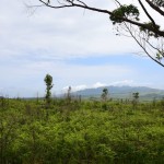 Comoros Drive Mountain View