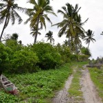 Comoros Drive North Beach Drive