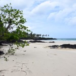 Comoros Drive Northeast Beach