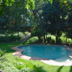 Mantenga Lodge Pool