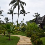 Royal Beach Hotel Garden Path