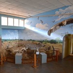 Swaziland National Museum Animals