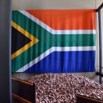 Apartheid Museum South African Flag