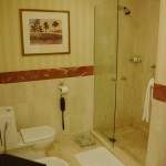 Grand Hyatt Muscat Room Shower
