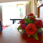 Sunbird Capital Room Lounge Flowers
