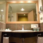 Holiday Inn Andorra Room Bathroom-2