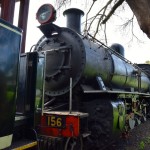 Livingstone Royal Livingstone Express Train Engine Front